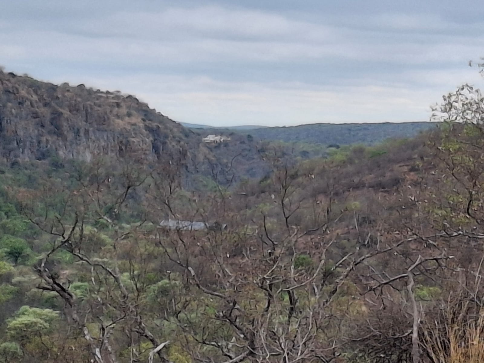 Mountain ridge and bushveld panorama