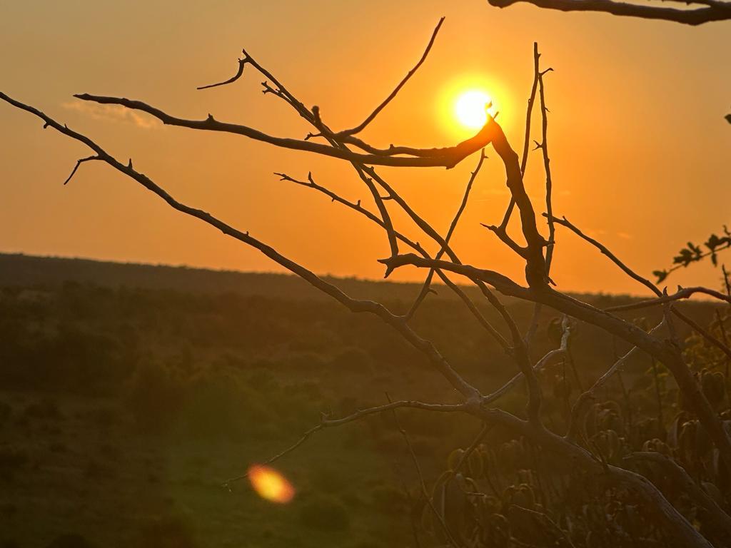 Sunset over the bushveld